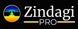 Zindagi pro logo light